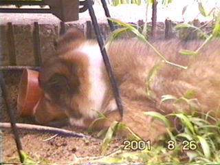 ���@���D����i�������j