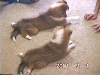 �����A���킢�����