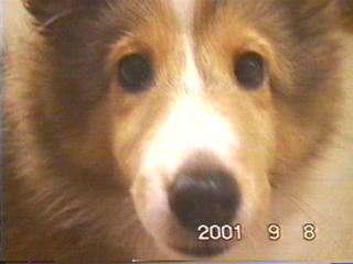 ���񑩂��A����ς藈�Ă��ꂽ�̂�(��)