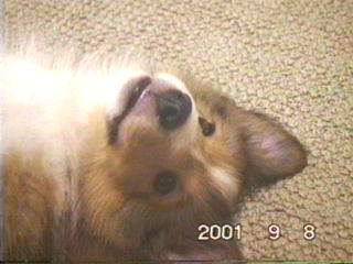 �G�w�ց@(^_^�U