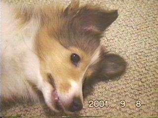 ���߂�Ȃ��`����