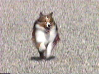 ���l����I���[�����