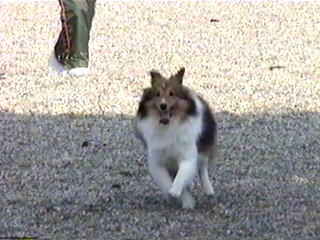 ��񂿂�􃌃I����