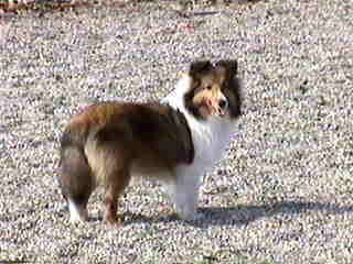 �n���T���I���I�����