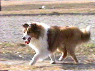 �����������I�W������