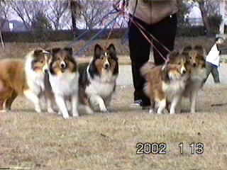 �y���������ˁ`��