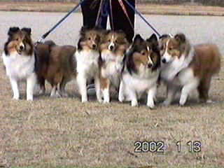 �����������āI