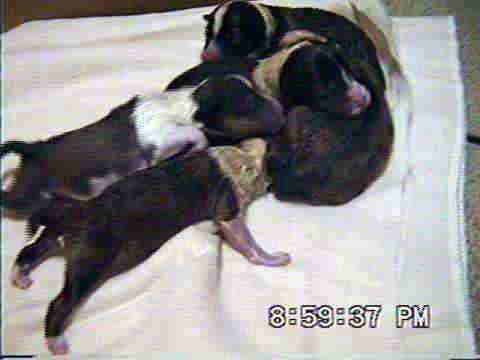 �T�C����̂�����܂����H