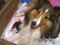 ����������