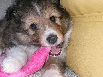 �ށ[�������