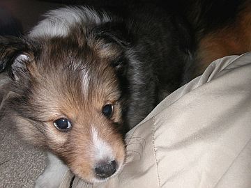 �˂��˂���