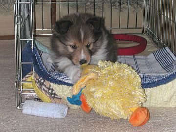 �^�J�����m