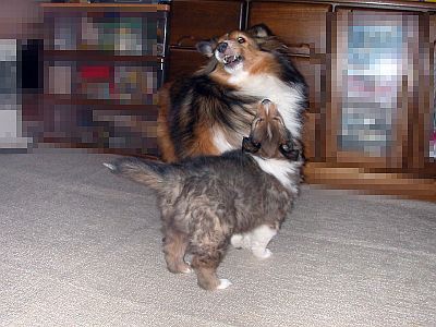 �K�I�[�K�I�[�I