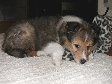 �ށ[���Ԃ���́E�E�E