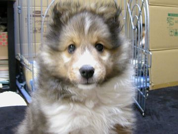 �����܂�