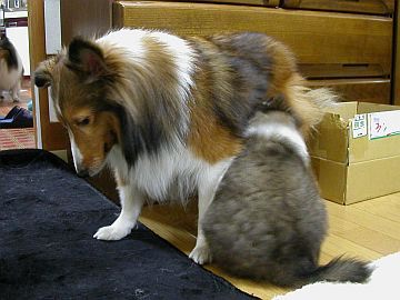 �܂��܂�������