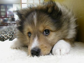 �˂��˂��I