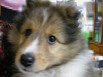 �_�b�R�����c