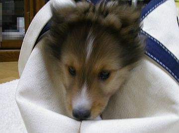 ���Q������