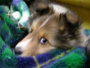 �M�����b�I