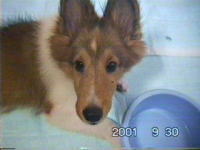 ���q�i�ꂨ�j�Ł`����