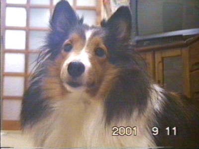 ���̎q�i�ށ[�j���Ĉ�́I