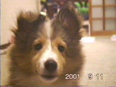 ���b�^�ˁ�