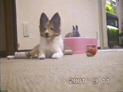 �����������́H�I