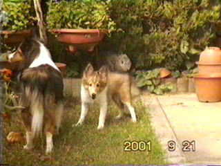 ���I���񂪌��߂Ă�̂́H