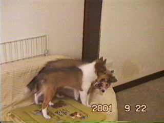 ����̓��I����D���I�H