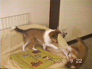 ������`��I