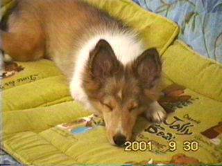 �܂��邢���ځX