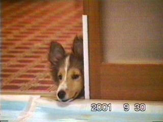 �`���b��