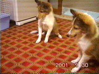 �ށ[�̓t���C���O�C���I�ꂨ�͕s���I