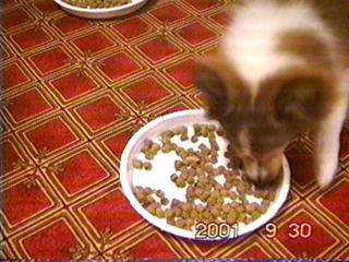 �K�c�I�K�c��K�c�I