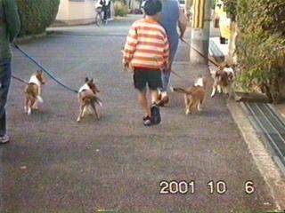 �ǂꂪ�܂邿���H