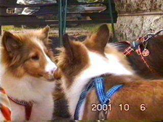 ������A����E���I���E�܂�