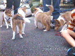 �����I�Ђ����Ԃ��