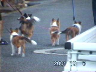 ���񂭂񂨂������Ȃ��Ă��˂��I