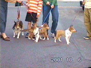 ����Ƒ������i�z�b�I�j