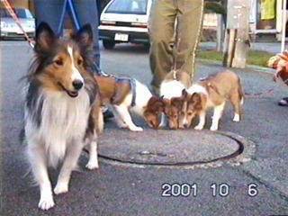 �y���������ˁ`��