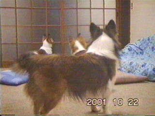 ���������I