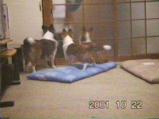 ��`���A���A��`��