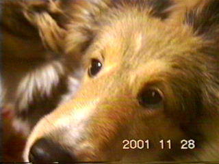 �ł��A�O�̎ʐ^�ł͐g�����o���Ă��܂�(��)