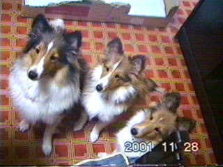 �F������A�����v���܂���ˁI�i�����j