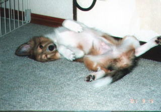 �E�C���N���o�b�`��!!