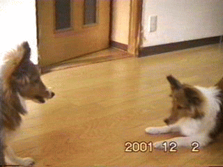 �����o�����o��