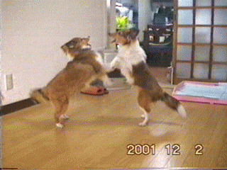 �撣��I�Q�C��