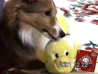 ���̂Ă��؂��