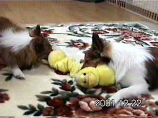 ����A���x�͂����肩���